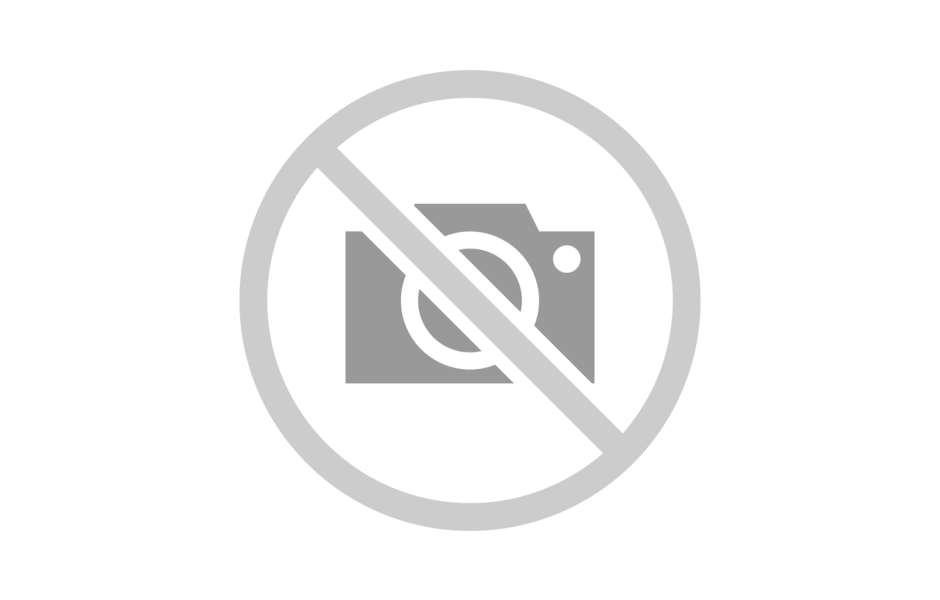 In-Line Check Valves